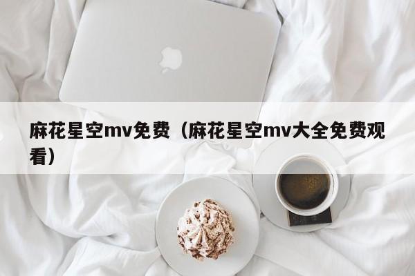 麻花星空mv免费（麻花星空mv大全免费观看）